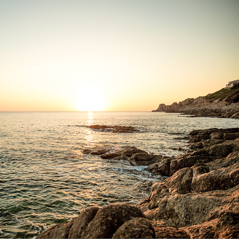 Organic certified skincare – reef and sea image