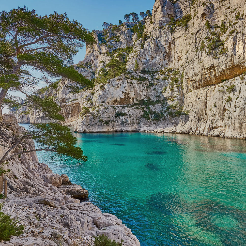 Image of sea & cliffs symbolizing La Purative's commitment to natural and eco-freindly beauty solutions. 