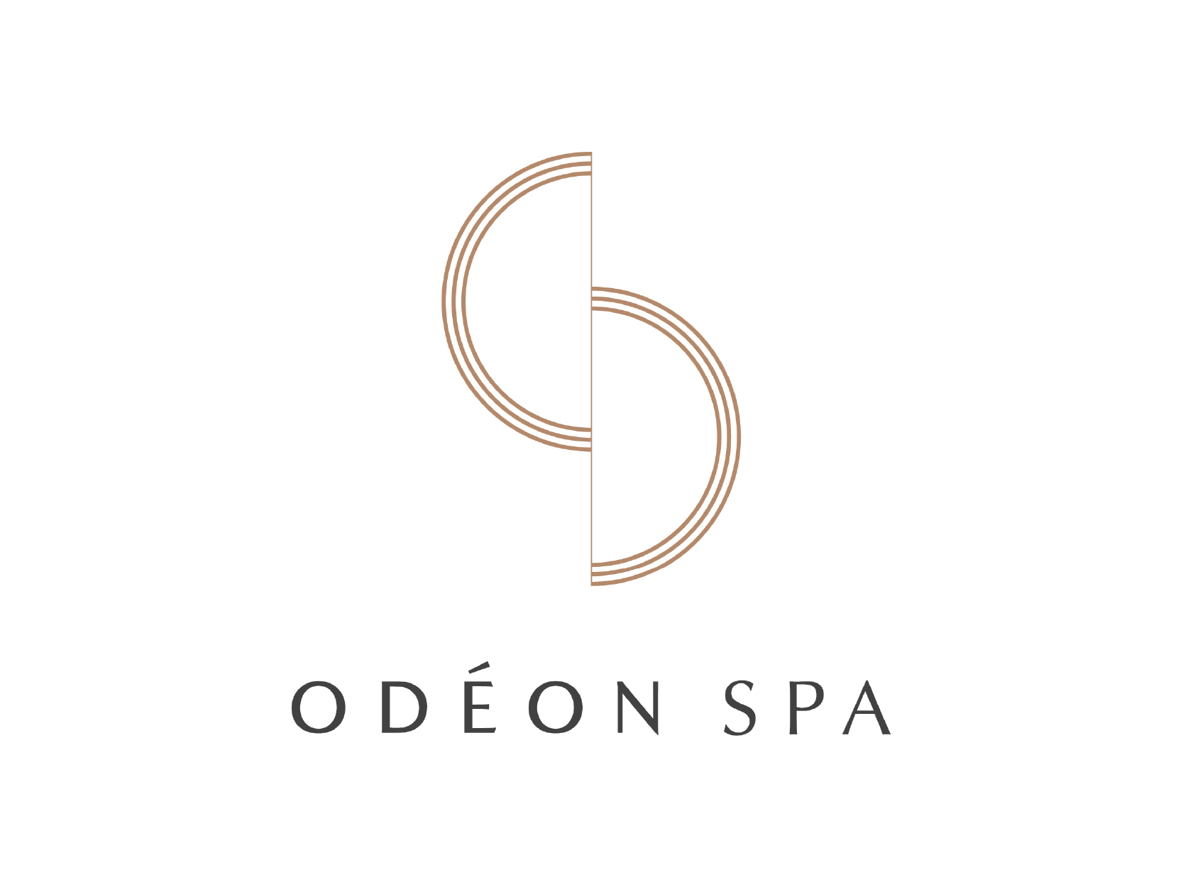 
                      Partner logo of La Purative – luxury organic skincare and amenities
                    